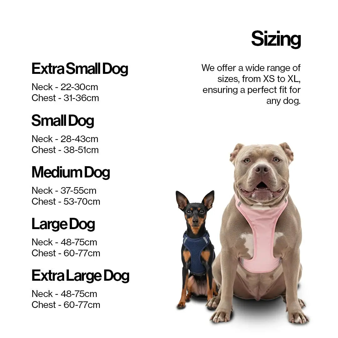 Easy Lock Magnetic Harness & Lead Set