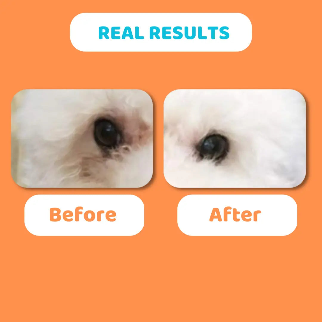 Eye Drops For Dogs