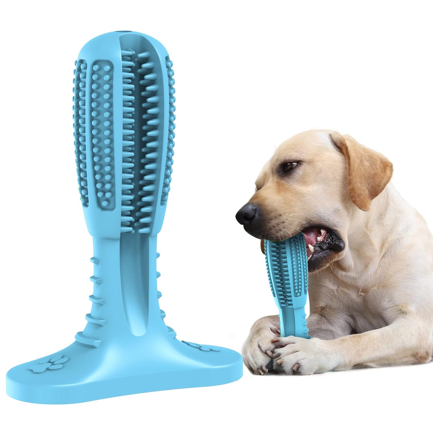 HETOO Indestructible Dog Chew Toys for Aggressive Chewers: Tough Durable Dog Squeaky Toys Dog Toothbrush for Teeth Cleaning, Gifts for Dogs (Cactus)
