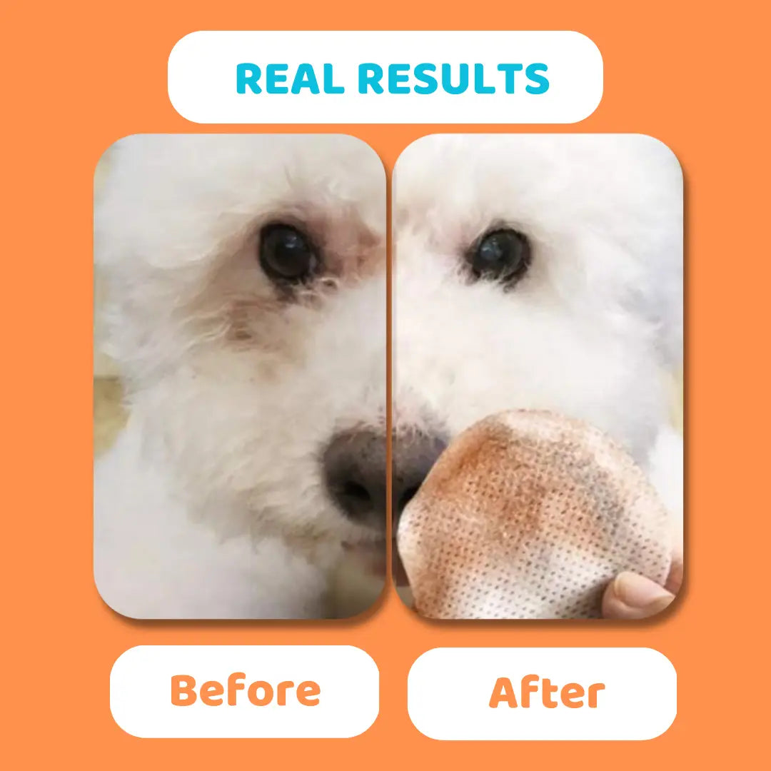 Eye Wipes For Dogs