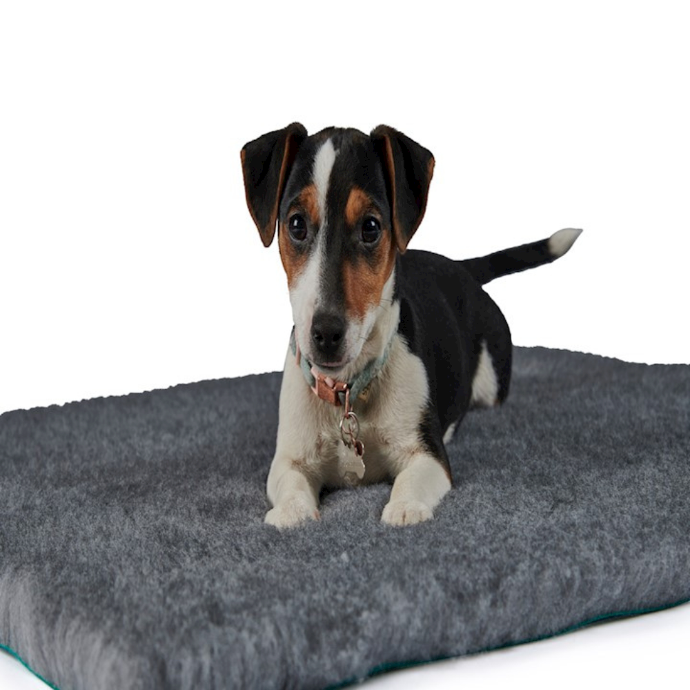 Traditional Vet Bedding - Grey