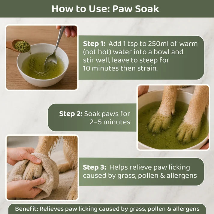 Nettle Powder for Dogs & Cats