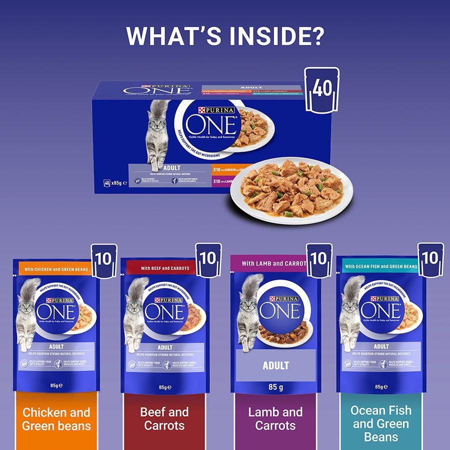 Purina ONE Adult Mini Fillets Wet Cat Food Gravy 40x85g