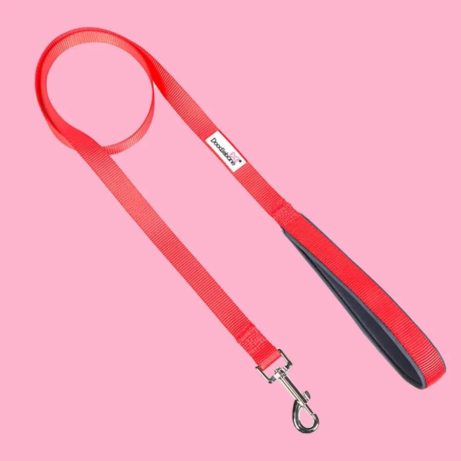 Strong & Comfy Dog Leash – Padded Grip
