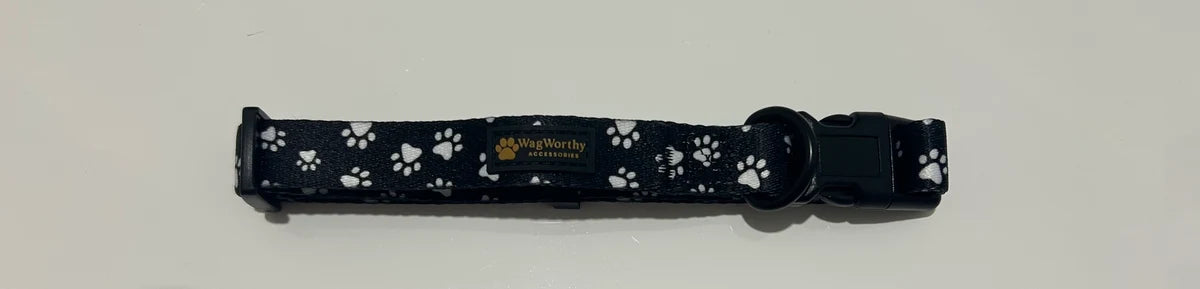 Midnight Paws Collar