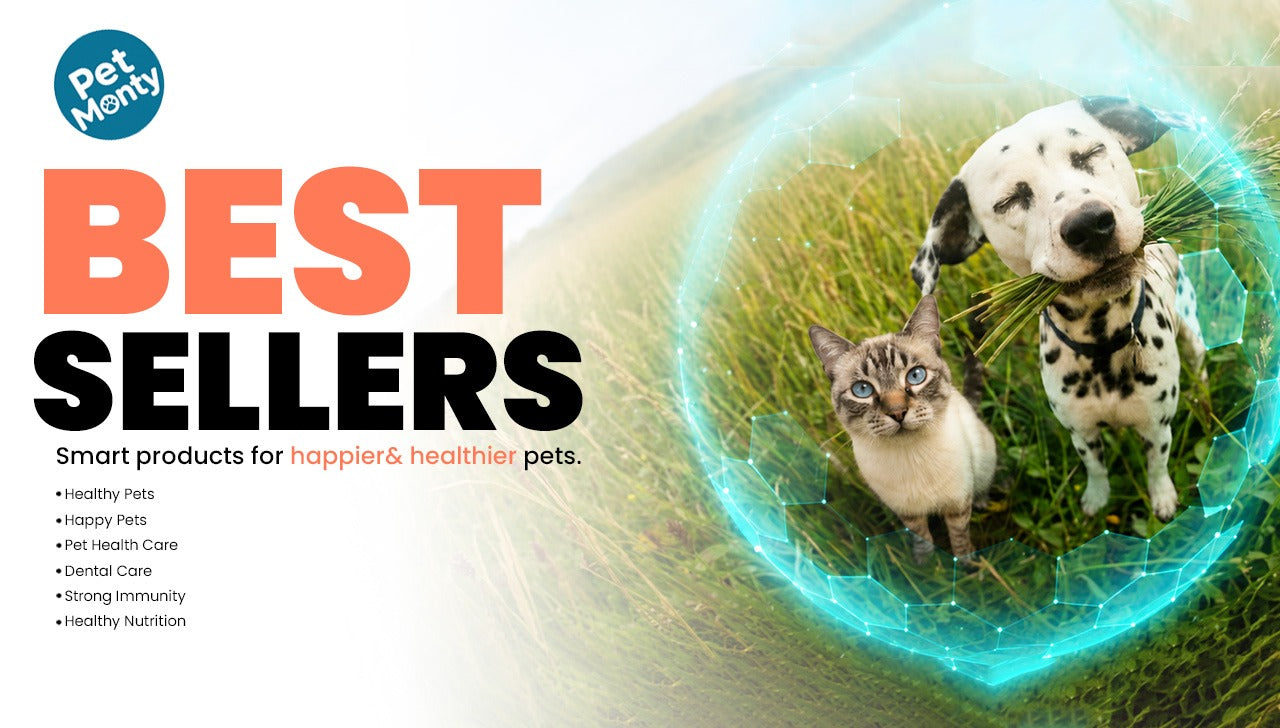 Best Sellers