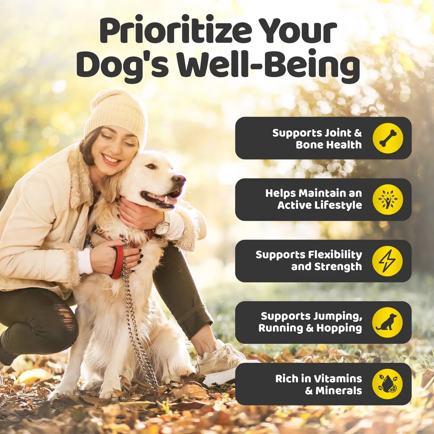 Joint Care Chews For Dogs