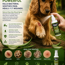 30 Ml Aloe Wound Spray