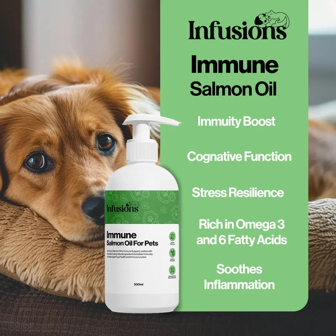 Immune Salmon Oil For Pets