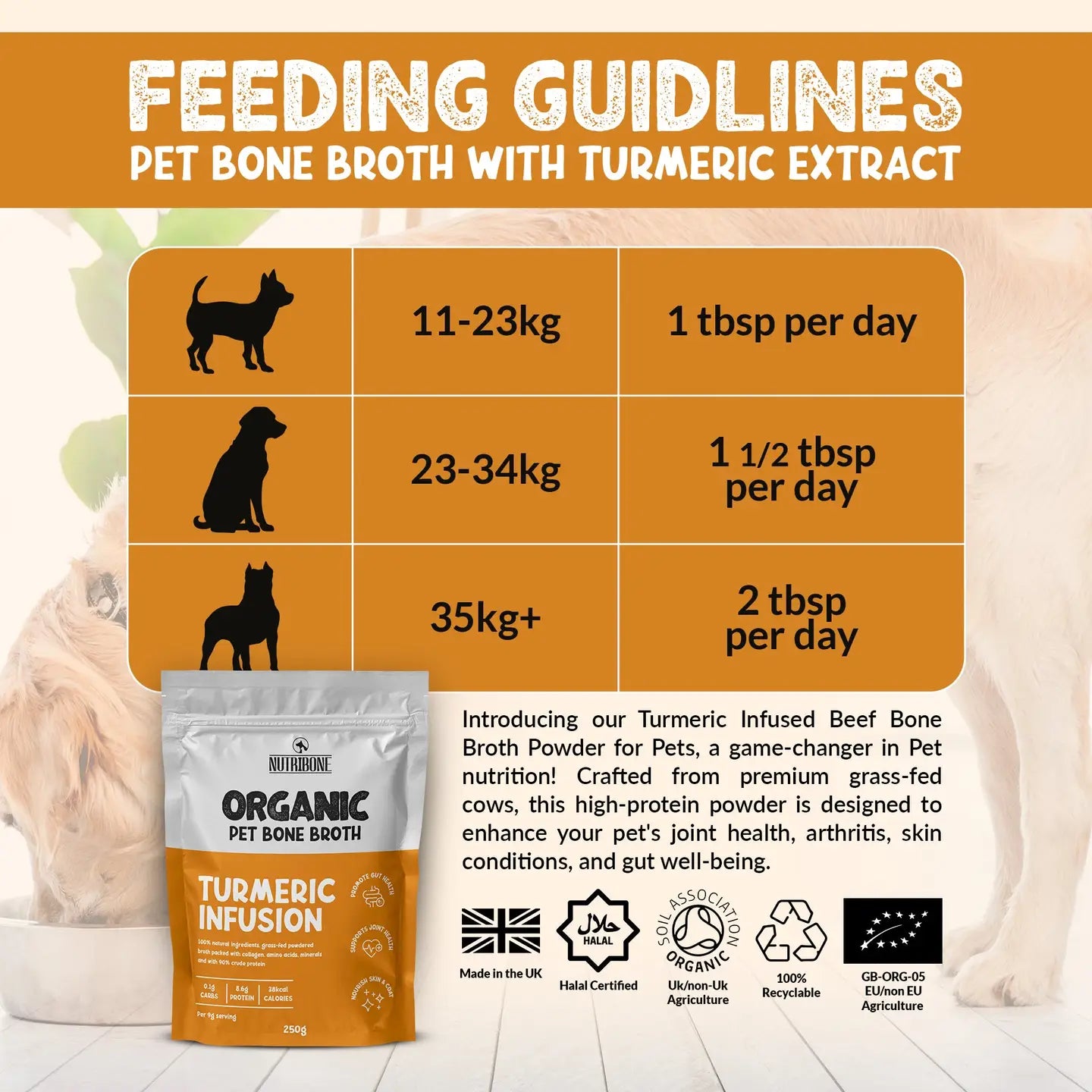 Bone Broth For Pets