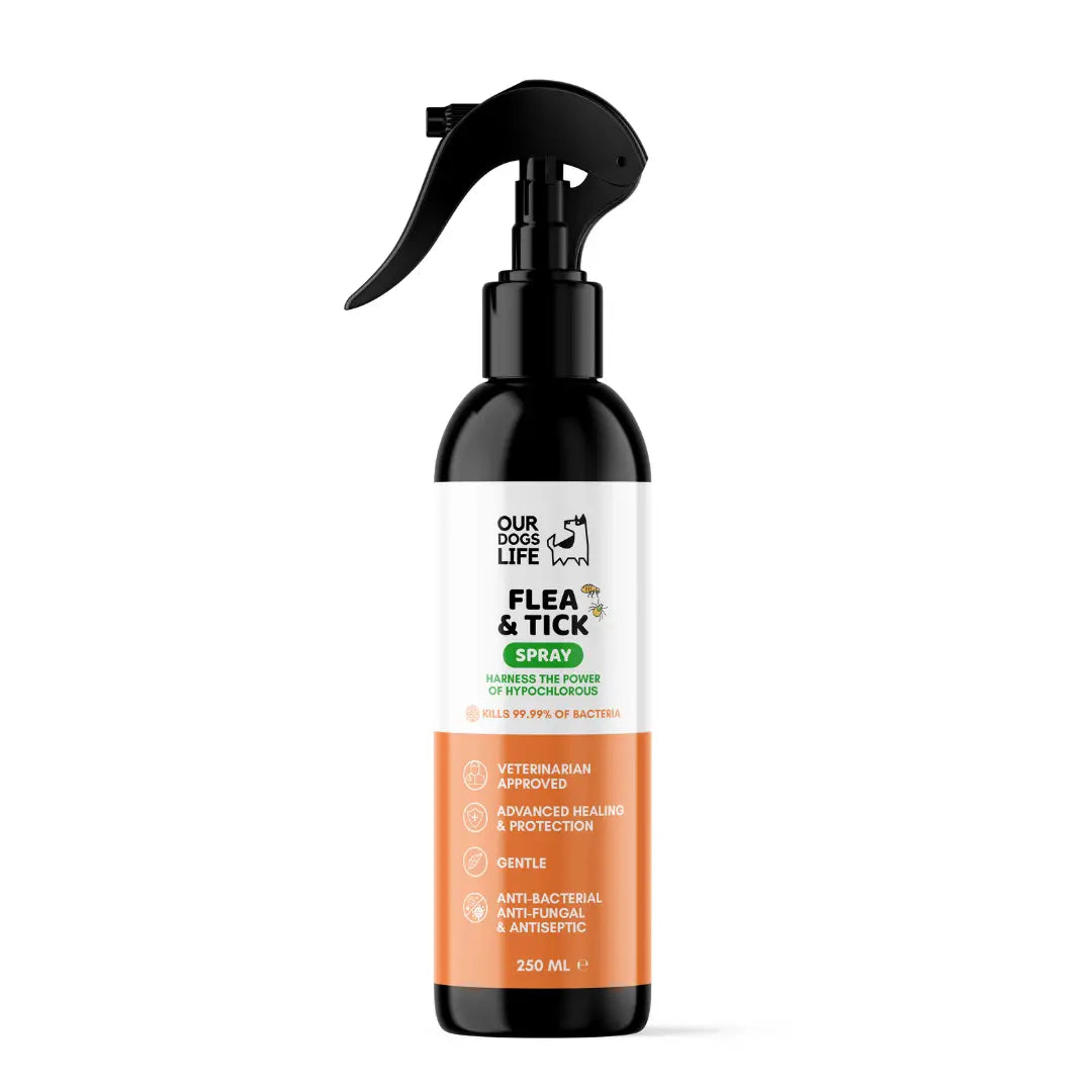 Flea & Tick Spray For Dogs