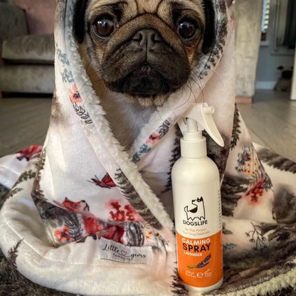 Calming Spray For Dogs