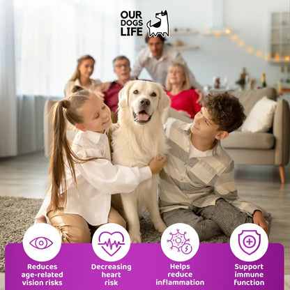 Senior Dog Supplement Drops