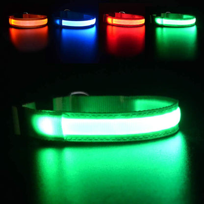 MASBRILL Light Up Dog Collar, LED Dog Collar Lights for the Dark, Rechargeable and Waterproof Flashing Dog Collars with 3 Glowing Modes, Adjustable Pet Collar for Small/Medium/Large Dog(Orange M)