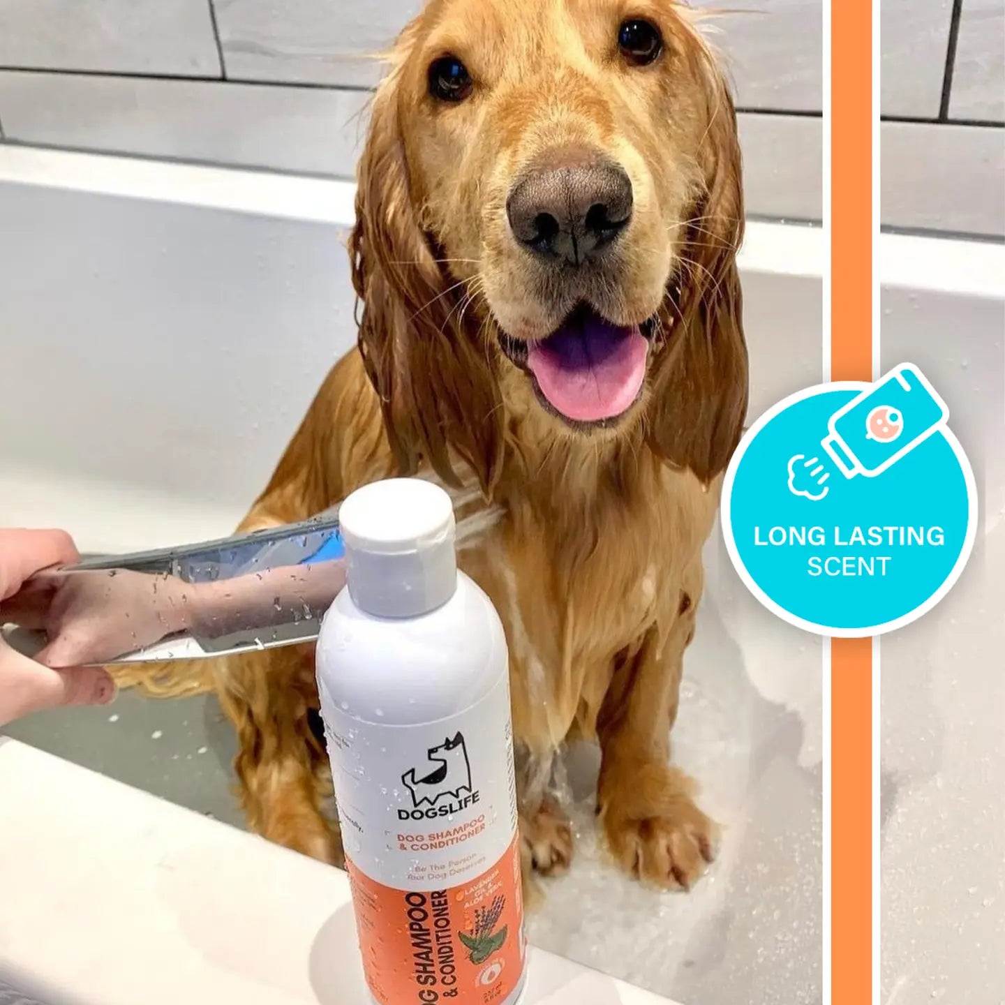 2 in 1 Dog Shampoo and Conditioner