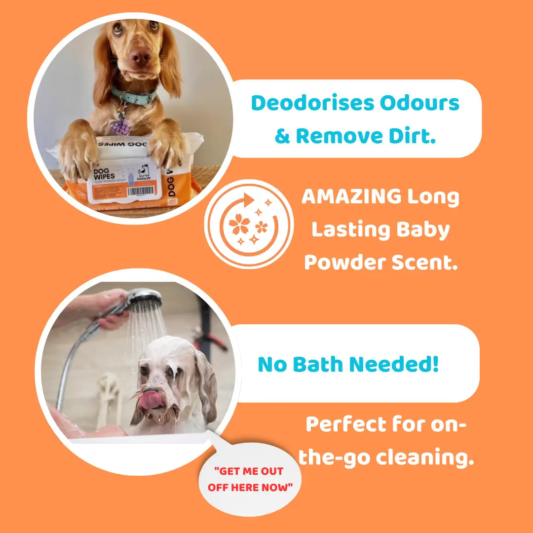 Scented Dog Wipes
