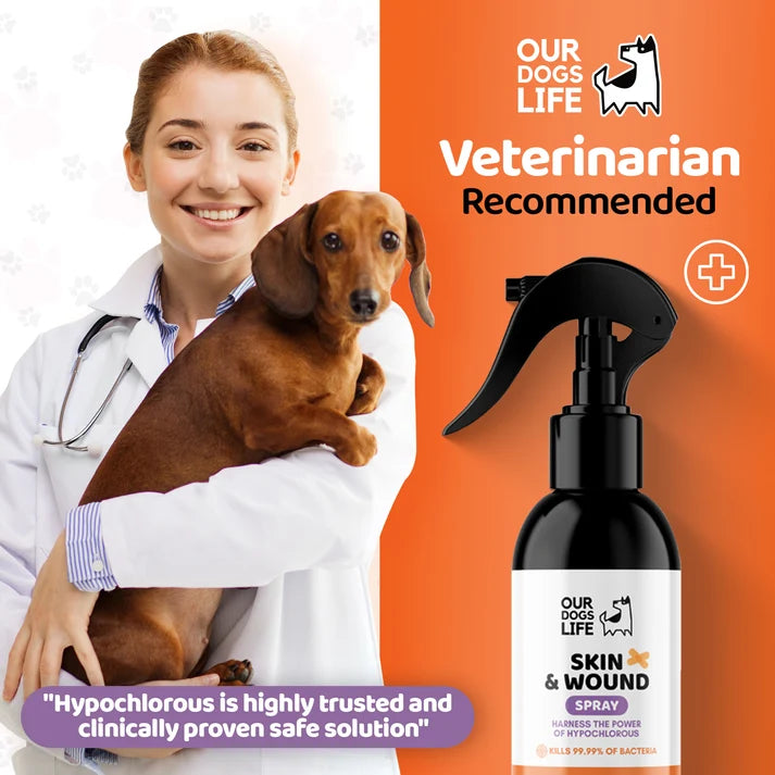 Dog Antiseptic Spray