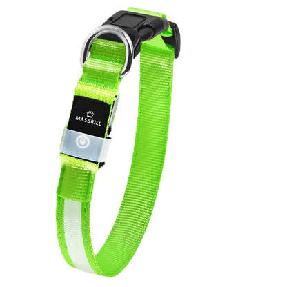 MASBRILL Luminous Dog Collar, LED Rechargeable and Waterproof Dog Collar, 3 Glowing Modes and Adjustable Size Suitable for Small Large Dogs (Blue, M)