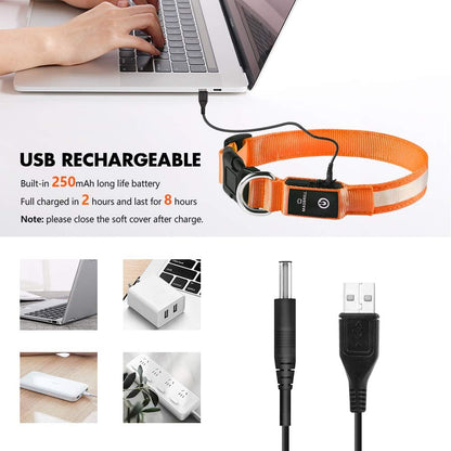 MASBRILL Light Up Dog Collar, LED Dog Collar Lights for the Dark, Rechargeable and Waterproof Flashing Dog Collars with 3 Glowing Modes, Adjustable Pet Collar for Small/Medium/Large Dog(Orange M)