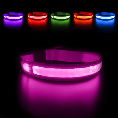 MASBRILL Light Up Dog Collar, LED Dog Collar Lights for the Dark, Rechargeable and Waterproof Flashing Dog Collars with 3 Glowing Modes, Adjustable Pet Collar for Small/Medium/Large Dog(Orange M)