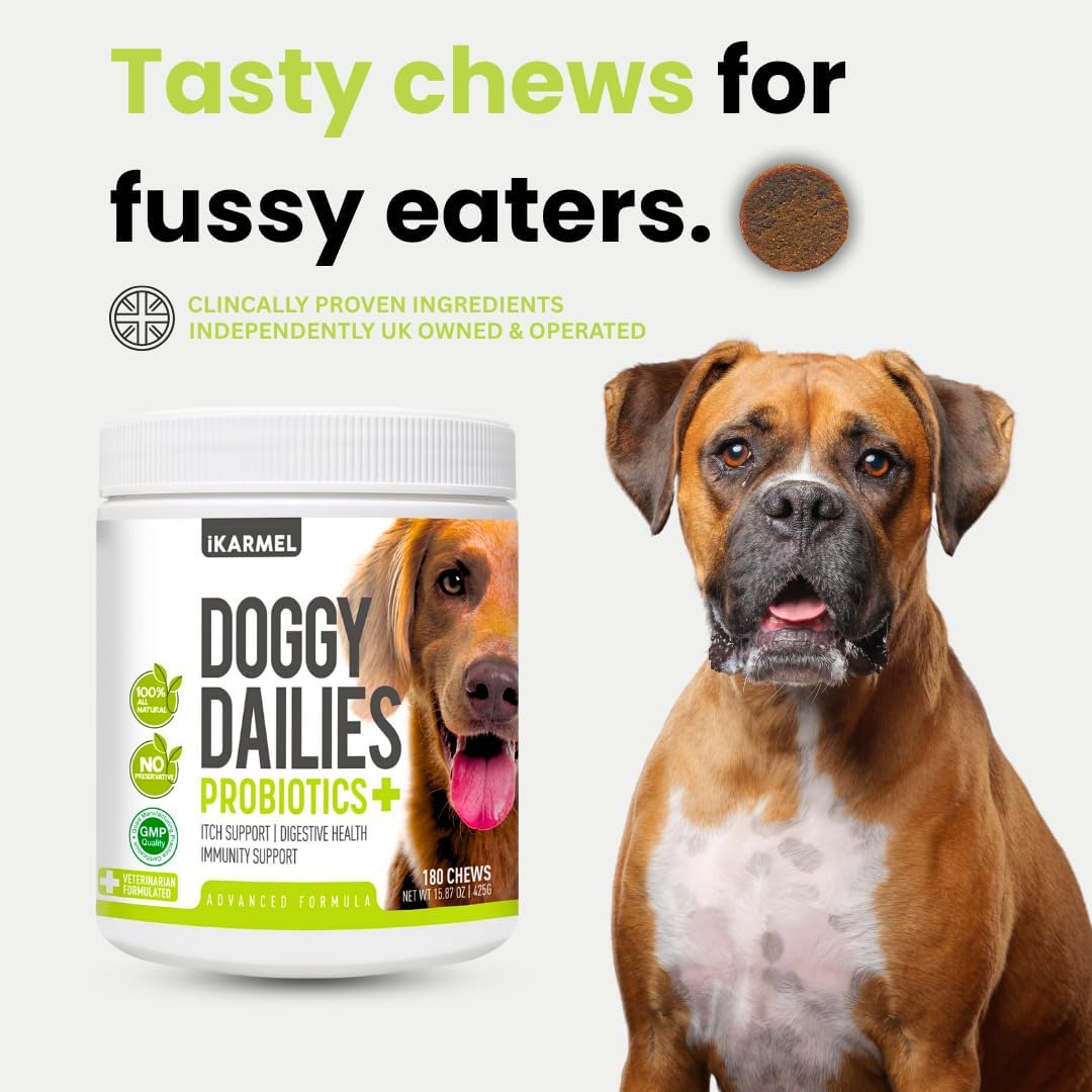 Doggy Dailies Probiotics for Dogs | Canine Supplements for Digestive and Immunity Support | Skin Health and Itch Relief | Vitamin Treats for Dogs | Probiotic (90 Chews)