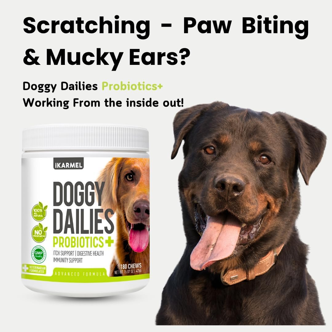 Doggy Dailies Probiotics for Dogs | Canine Supplements for Digestive and Immunity Support | Skin Health and Itch Relief | Vitamin Treats for Dogs | Probiotic (90 Chews)