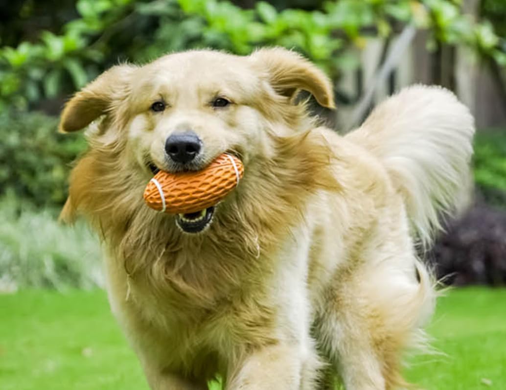 AUSCAT Dog Rugby Ball, Squeaky Dog Ball for Medium Large Dogs, Dog Rugby Ball Toy, Orange, Large,5.5"/14 cm