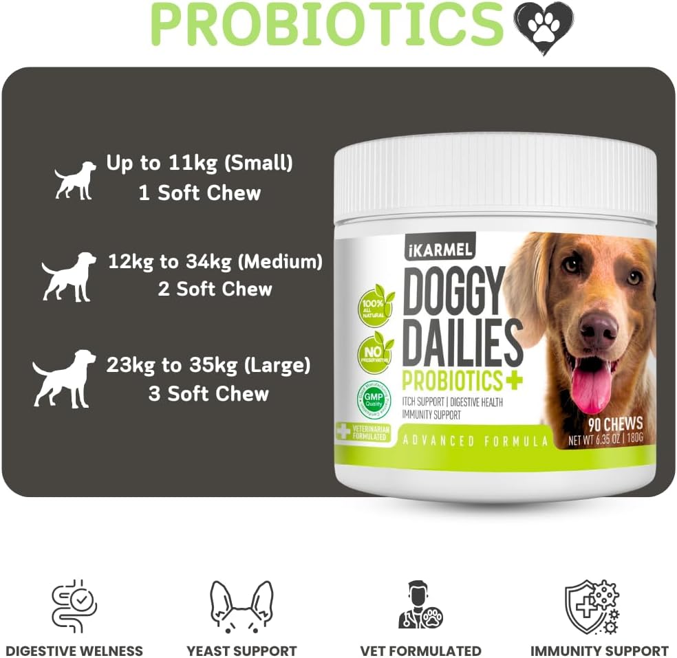 Doggy Dailies Probiotics for Dogs | Canine Supplements for Digestive and Immunity Support | Skin Health and Itch Relief | Vitamin Treats for Dogs | Probiotic (90 Chews)