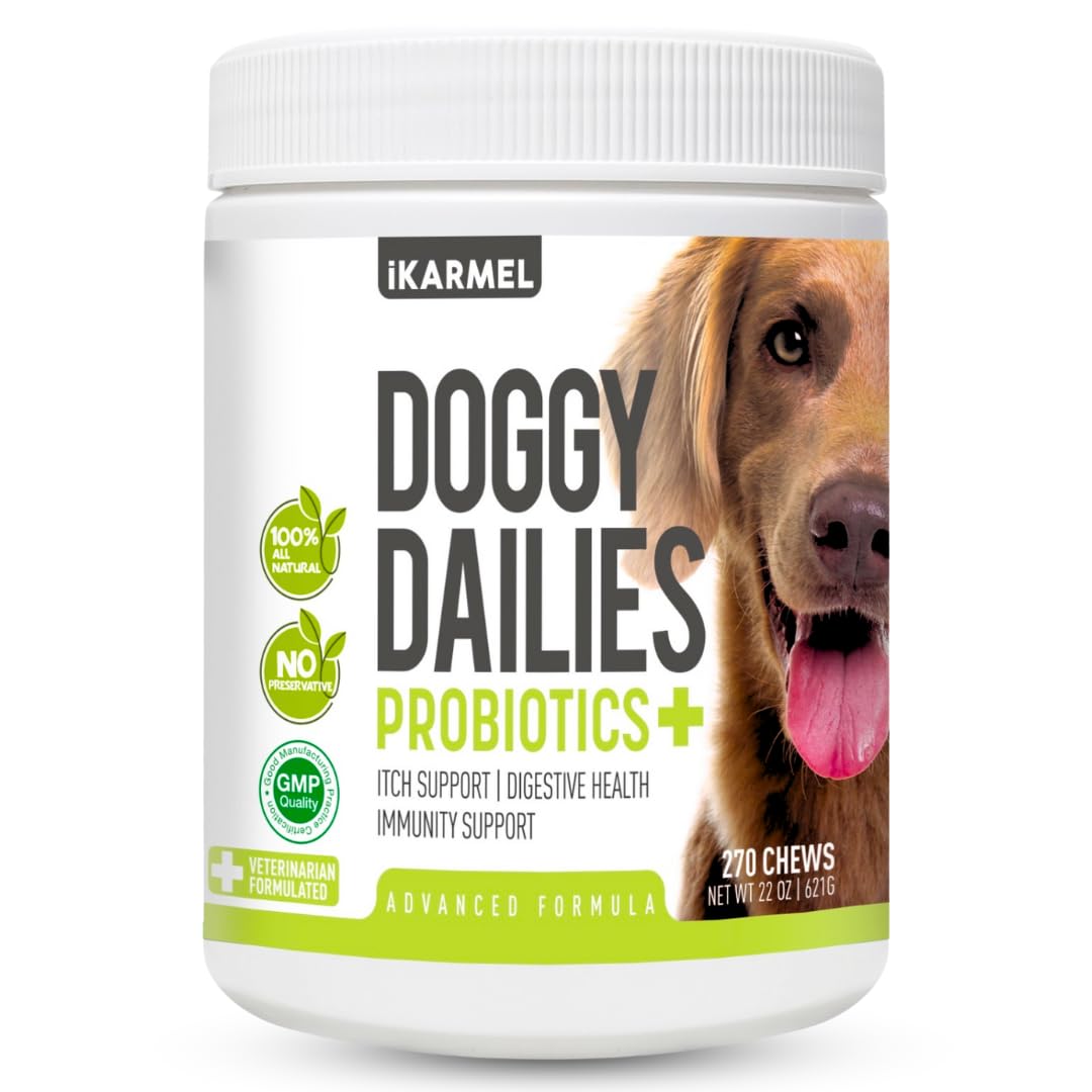 Doggy Dailies Probiotics for Dogs | Canine Supplements for Digestive and Immunity Support | Skin Health and Itch Relief | Vitamin Treats for Dogs | Probiotic (90 Chews)