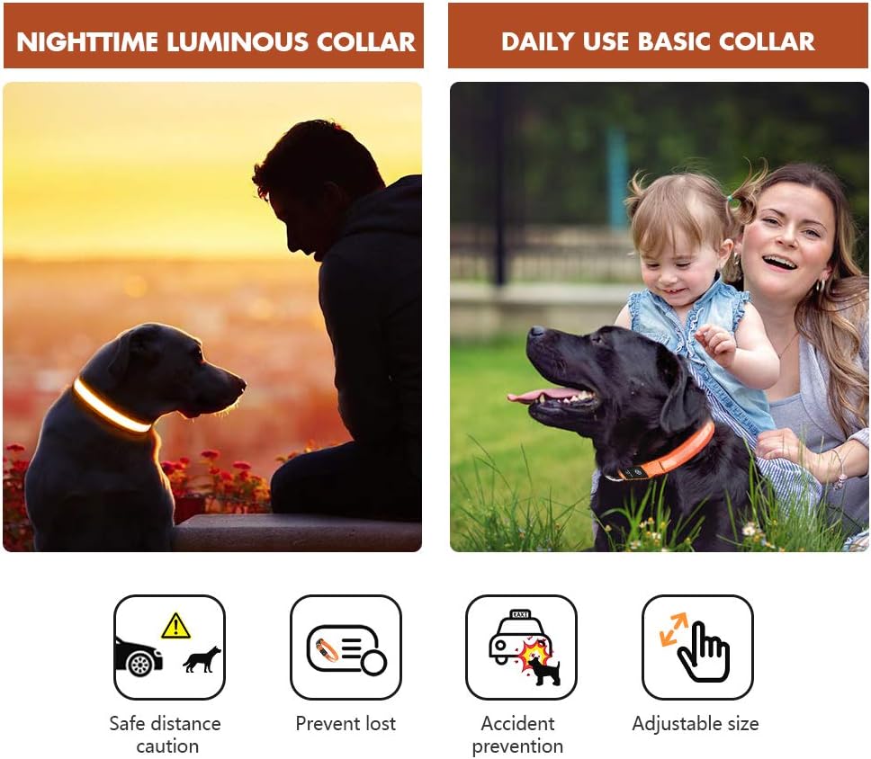 MASBRILL Light Up Dog Collar, LED Dog Collar Lights for the Dark, Rechargeable and Waterproof Flashing Dog Collars with 3 Glowing Modes, Adjustable Pet Collar for Small/Medium/Large Dog(Orange M)