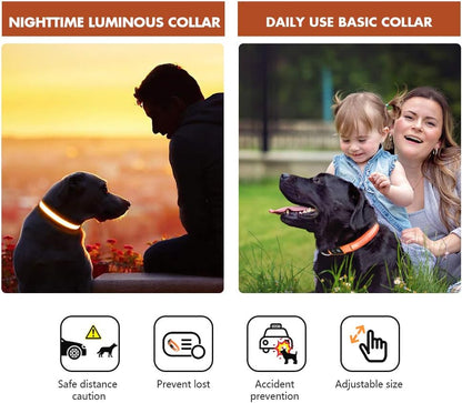 MASBRILL Light Up Dog Collar, LED Dog Collar Lights for the Dark, Rechargeable and Waterproof Flashing Dog Collars with 3 Glowing Modes, Adjustable Pet Collar for Small/Medium/Large Dog(Orange M)