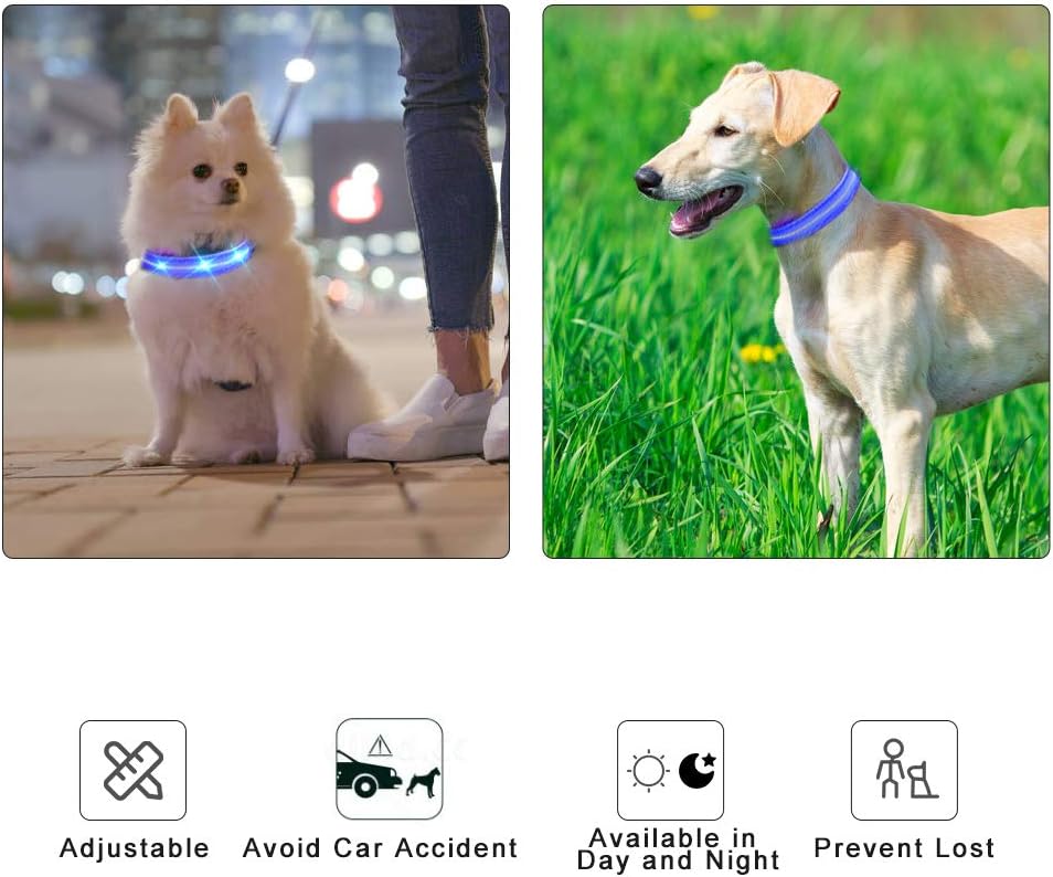 MASBRILL Luminous Dog Collar, LED Rechargeable and Waterproof Dog Collar, 3 Glowing Modes and Adjustable Size Suitable for Small Large Dogs (Blue, M)