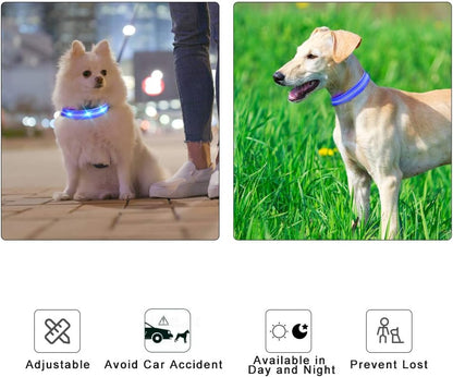MASBRILL Luminous Dog Collar, LED Rechargeable and Waterproof Dog Collar, 3 Glowing Modes and Adjustable Size Suitable for Small Large Dogs (Blue, M)