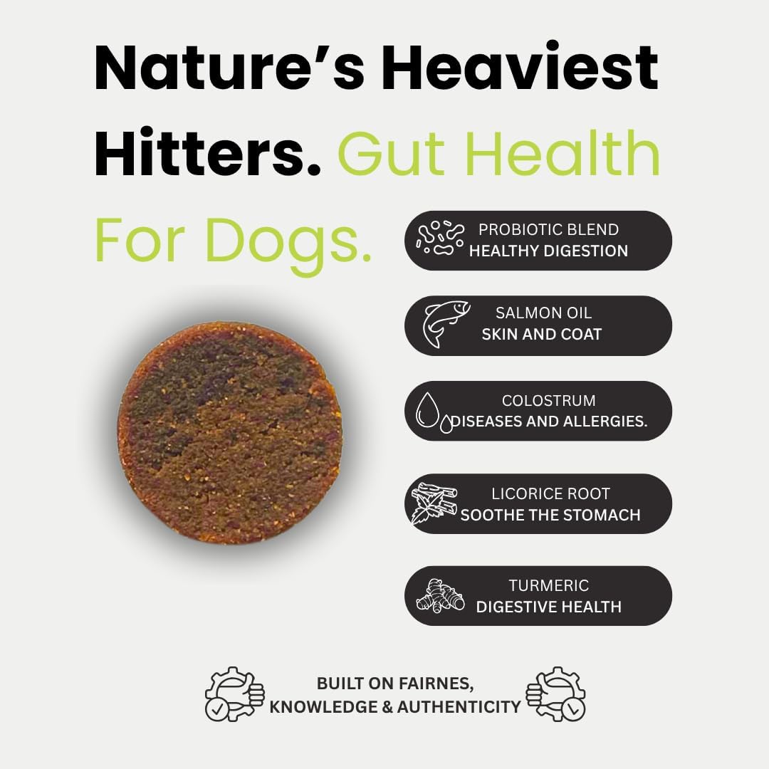 Doggy Dailies Probiotics for Dogs - Canine Supplements for Digestive and Immunity Support - Skin Health and Itch Support - Vitamin Treats - Veterinarian Formulated Probiotic