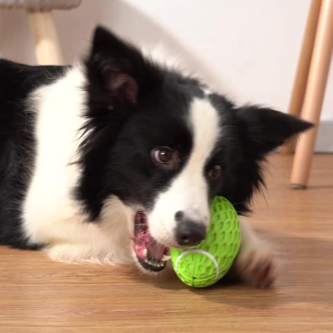 AUSCAT Squeaky Dog Ball for Aggressive Chewers, Tough Rubber Dog Rugby Ball for Medium Large Dogs, Green, Large, 5.5"/14 cm