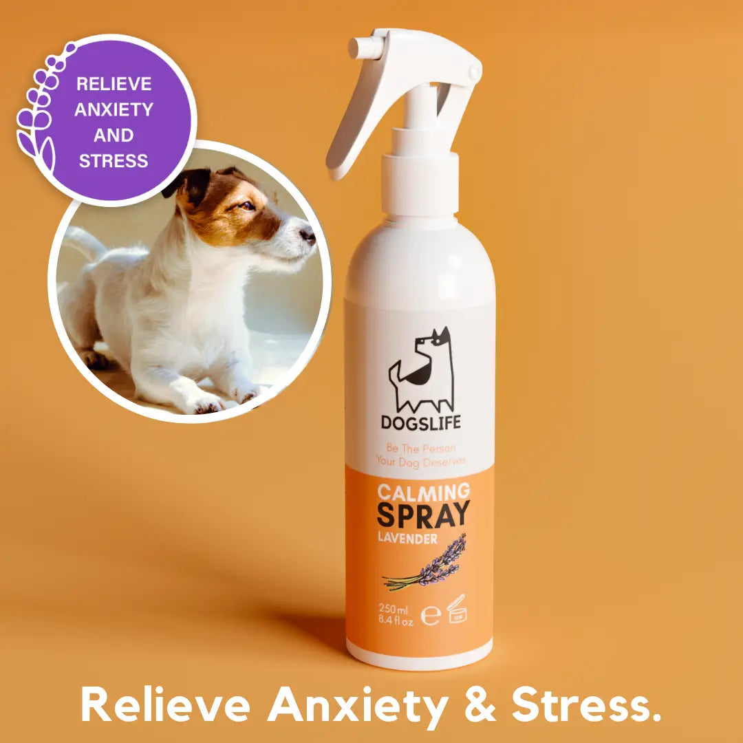 Calming Spray For Dogs