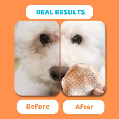 Eye Wipes For Dogs
