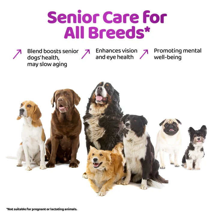 Senior Dog Supplement Drops