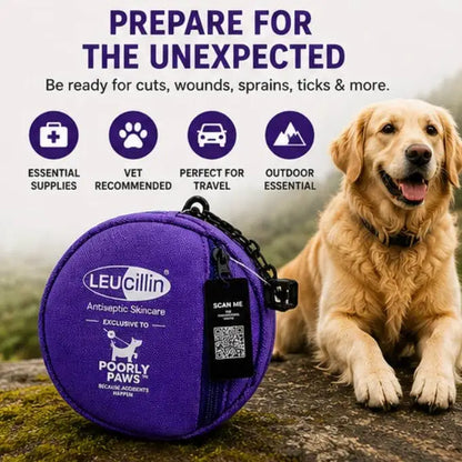 Leucillin & Poorly Paws First Aid Kit