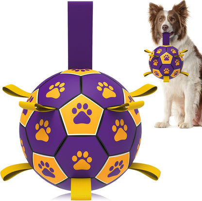 HETOO Interactive Dog Football Toys with Webbing, Durable Dog Balls for Small Medium Large Breed Dog Water Toy Indoor & Outdoor, Gift for Dogs (8 Inch)