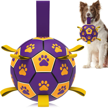 HETOO Interactive Dog Football Toys with Webbing, Durable Dog Balls for Small Medium Large Breed Dog Water Toy Indoor & Outdoor, Gift for Dogs (8 Inch)