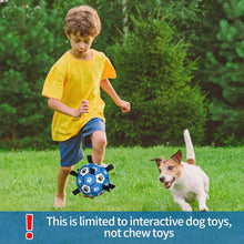 HETOO Interactive Dog Football Toys with Webbing, Durable Dog Water Balls for Small Medium Breed, Indoor & Outdoor Blue Gray (6 Inch)