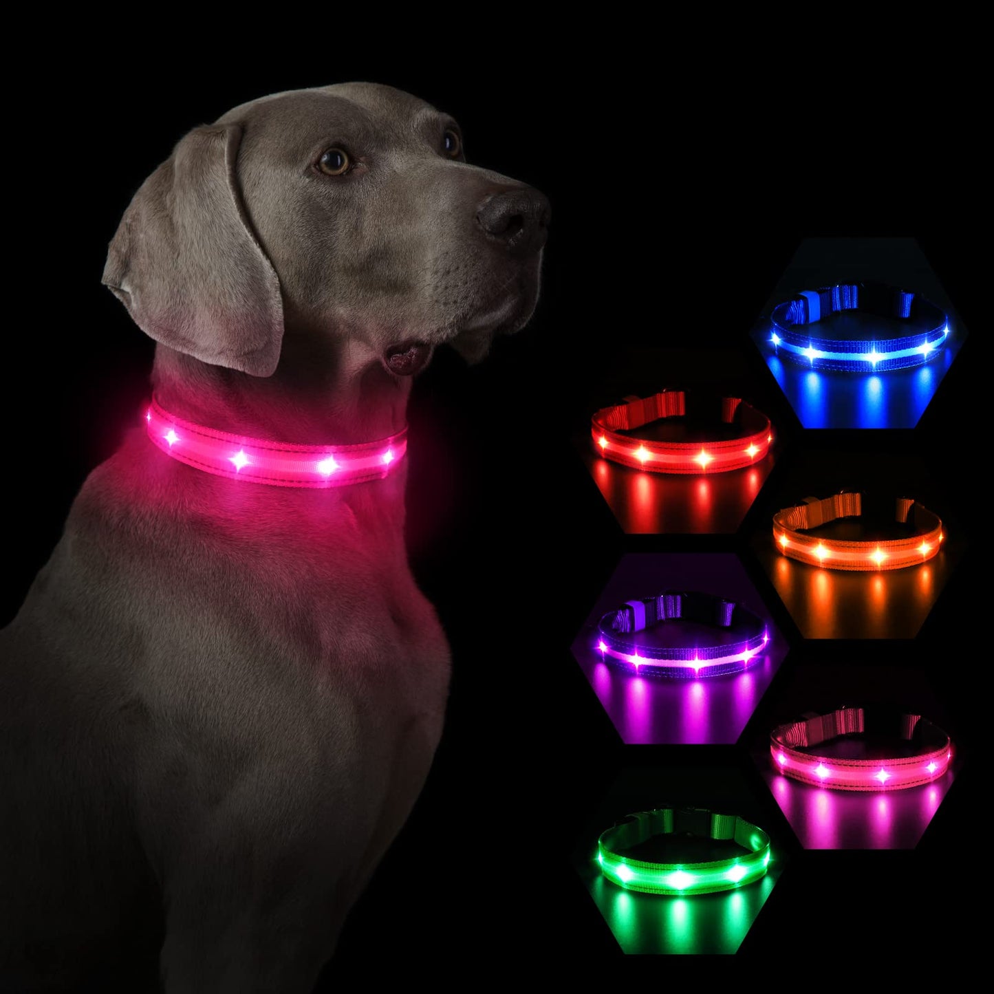MASBRILL Luminous Dog Collar, LED Rechargeable and Waterproof Dog Collar, 3 Glowing Modes and Adjustable Size Suitable for Small Large Dogs (Blue, M)