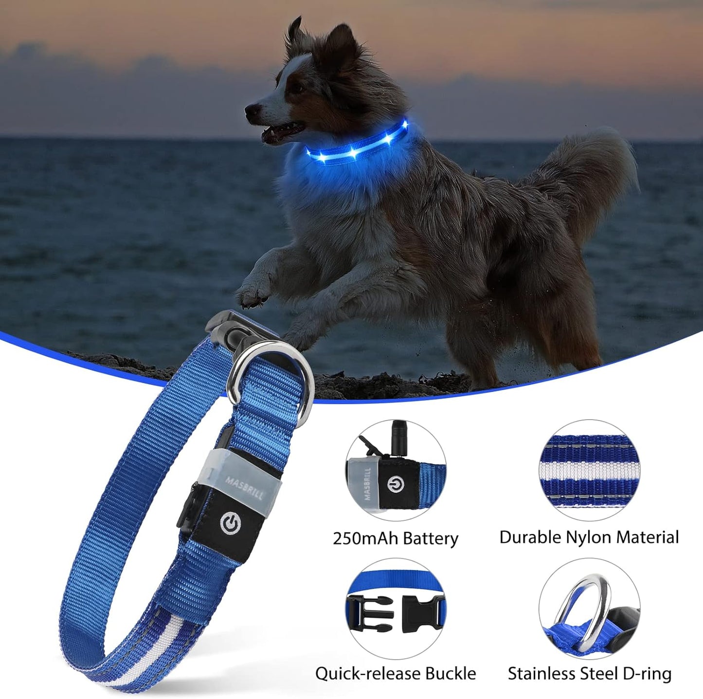 MASBRILL Luminous Dog Collar, LED Rechargeable and Waterproof Dog Collar, 3 Glowing Modes and Adjustable Size Suitable for Small Large Dogs (Blue, M)