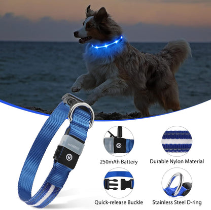MASBRILL Luminous Dog Collar, LED Rechargeable and Waterproof Dog Collar, 3 Glowing Modes and Adjustable Size Suitable for Small Large Dogs (Blue, M)