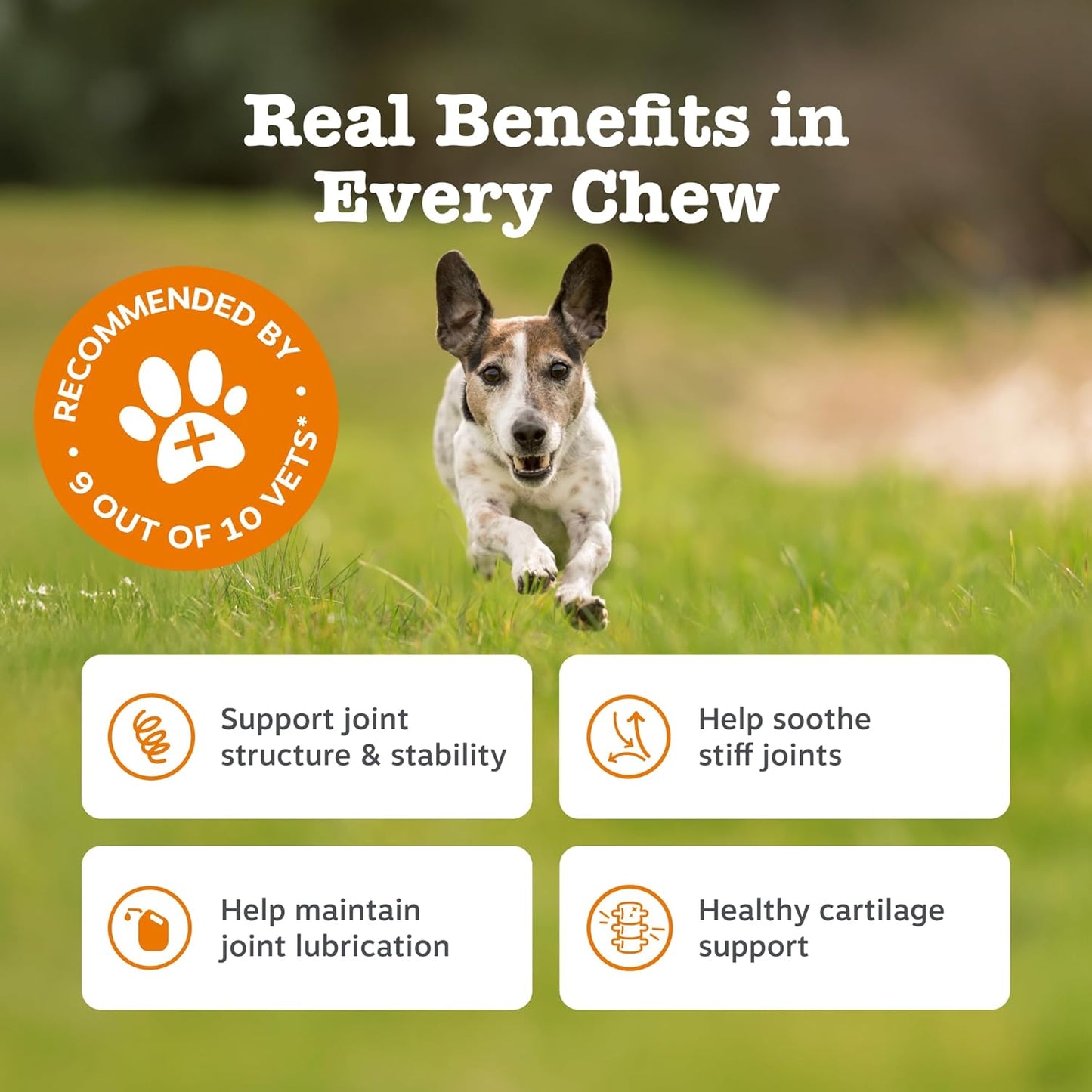 Zesty Paws Hip & Joint Chews for Dogs | Supports Joint Flexibility, Mobility, Healthy Cartilage & Helps Soothe Stiff Joints | With Glucosamine, Chondroitin, Green-Lipped Mussel | Daily Use | 90 Chews