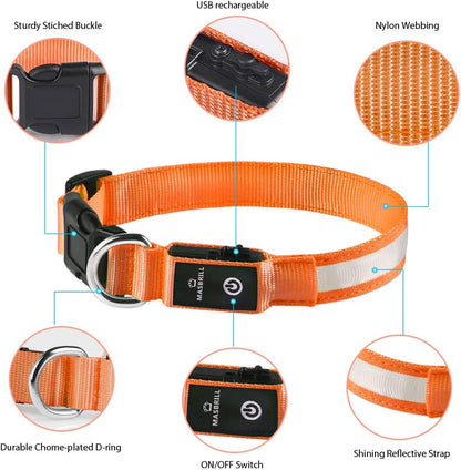 MASBRILL Light Up Dog Collar, LED Dog Collar Lights for the Dark, Rechargeable and Waterproof Flashing Dog Collars with 3 Glowing Modes, Adjustable Pet Collar for Small/Medium/Large Dog(Orange M)