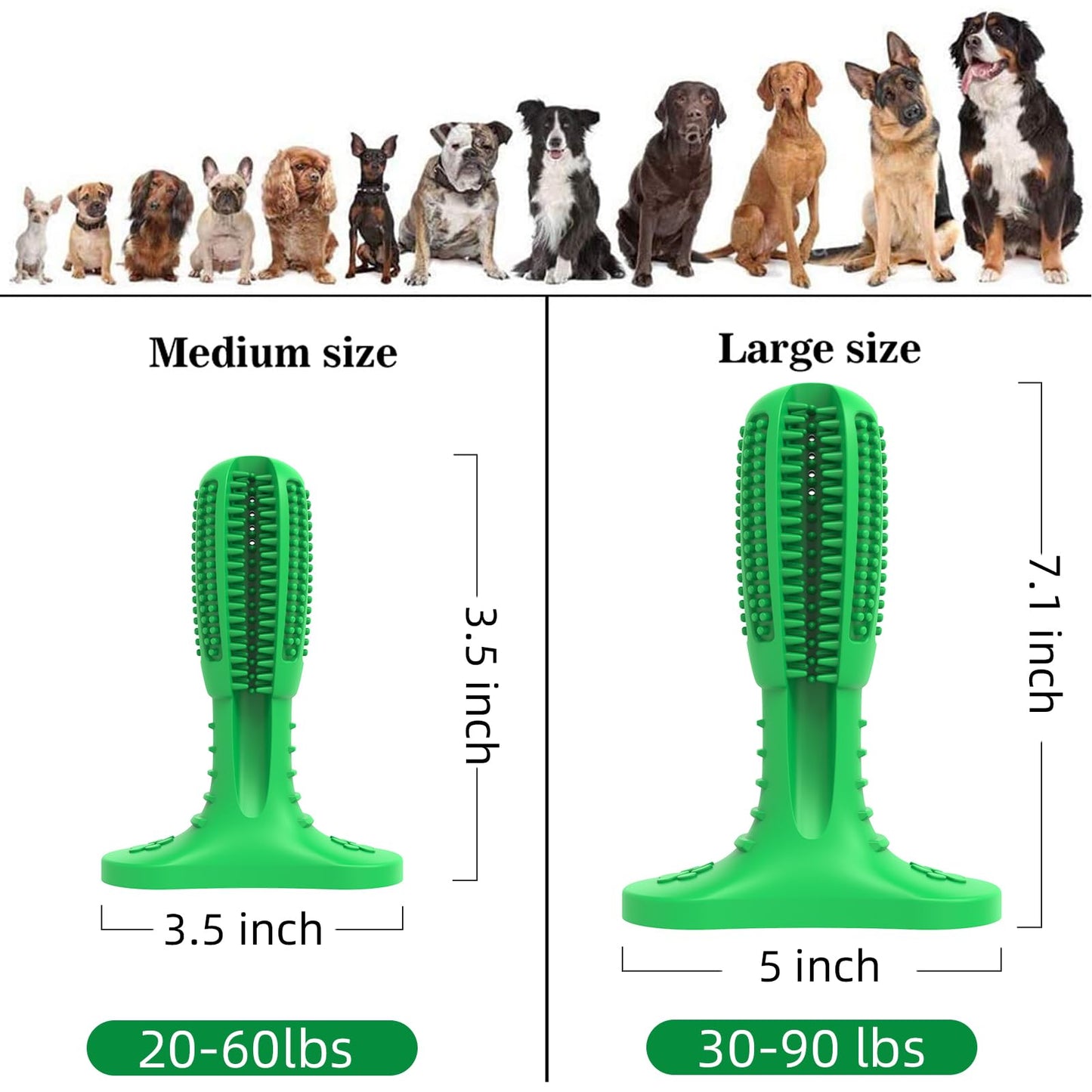 HETOO Indestructible Dog Chew Toys for Aggressive Chewers: Tough Durable Dog Squeaky Toys Dog Toothbrush for Teeth Cleaning, Gifts for Dogs (Cactus)