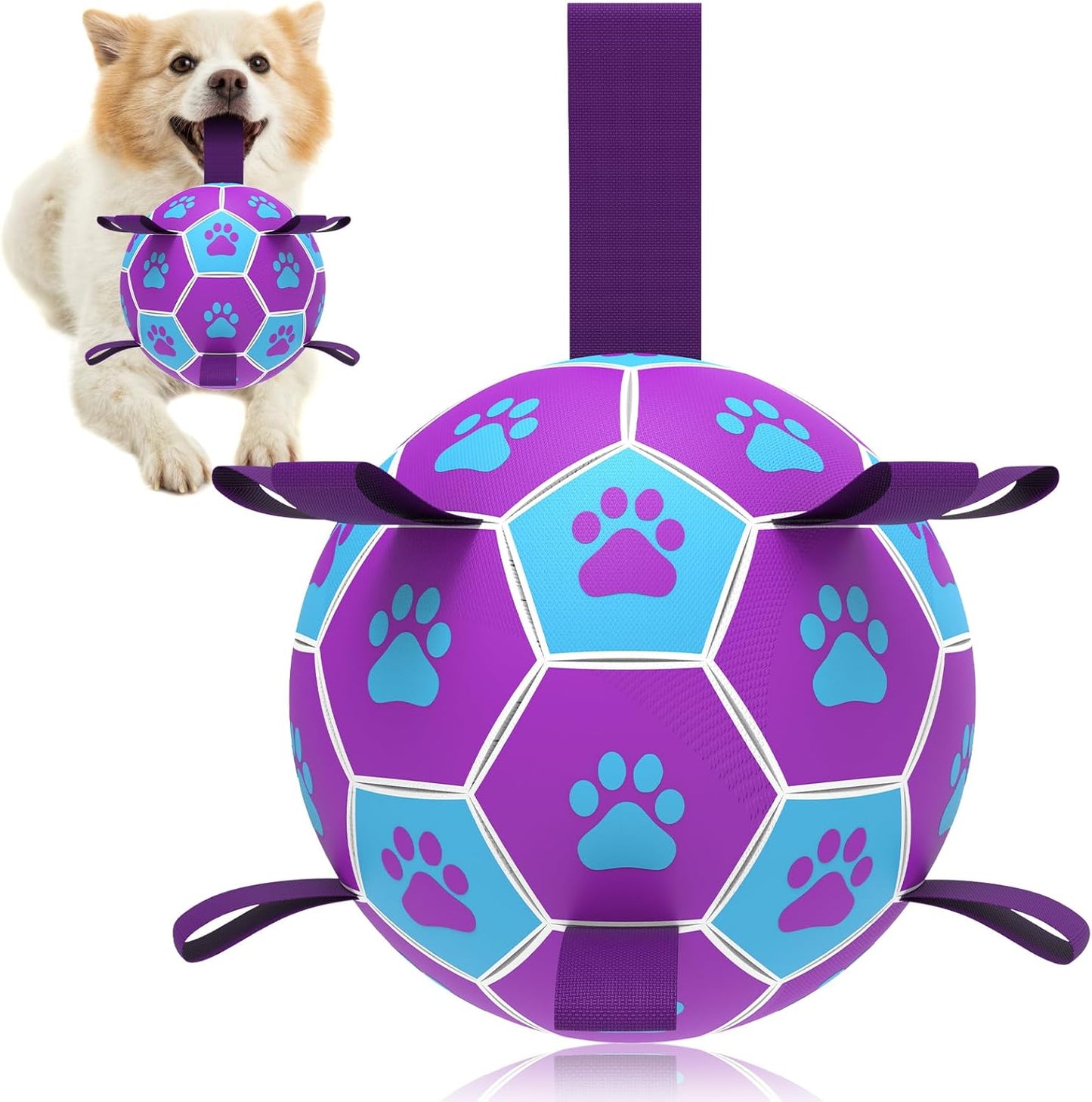 HETOO Dog Ball Toy Dog Football: Interactive Dog Balls with Webbing, Durable High Bounce Floating Dog Toys Balls for Dog Birthday Gifts Indoor & Outdoor Purple Blue Medium (6 Inch)