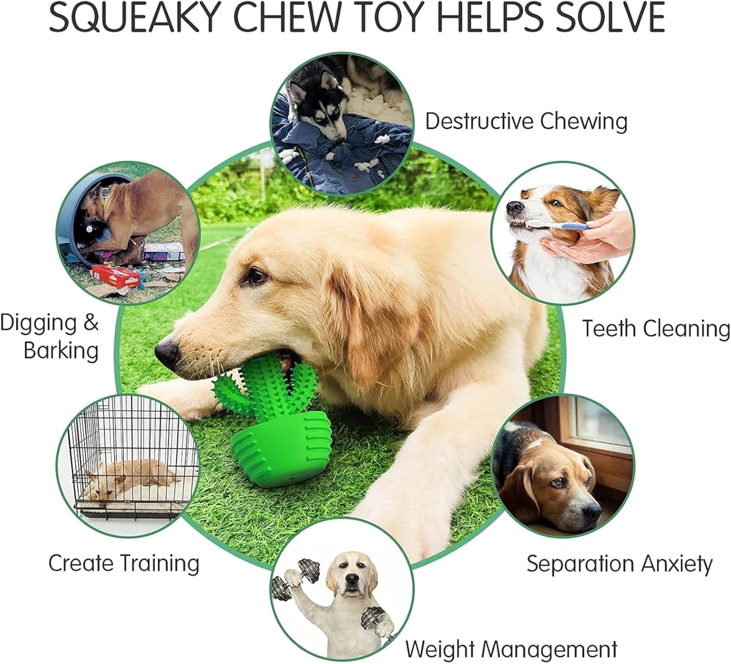 HETOO Indestructible Dog Chew Toys for Aggressive Chewers: Tough Durable Dog Squeaky Toys Dog Toothbrush for Teeth Cleaning, Gifts for Dogs (Cactus)